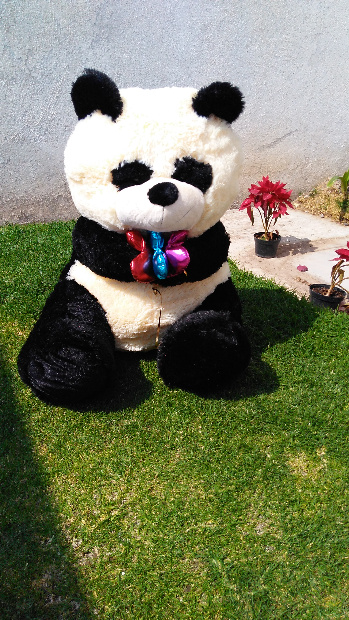 Imagen de Oso panda que aun no anda numero 2