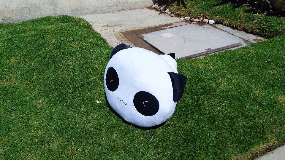 Imagen de Panda wiwi de peluche 30x35 cms numero 1