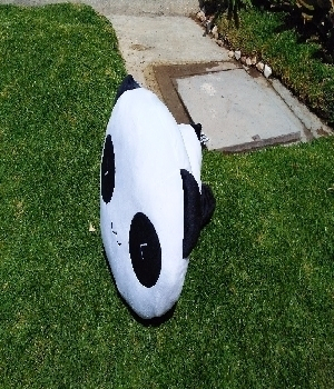 Imagen de Panda wiwi de peluche 30x35 cms