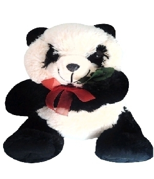Imagen de Panda de peluche 35 centimetros sentado numero 0