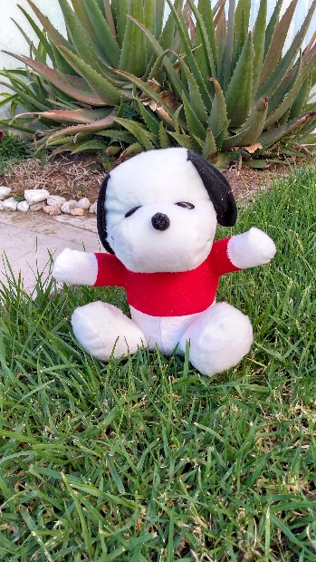 Imagen de Snoopy de peluche con sudadera 20 cms para eventos  numero 1