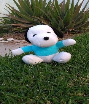 Imagen de Snoopy de peluche con sudadera 20 cms para eventos  numero 0